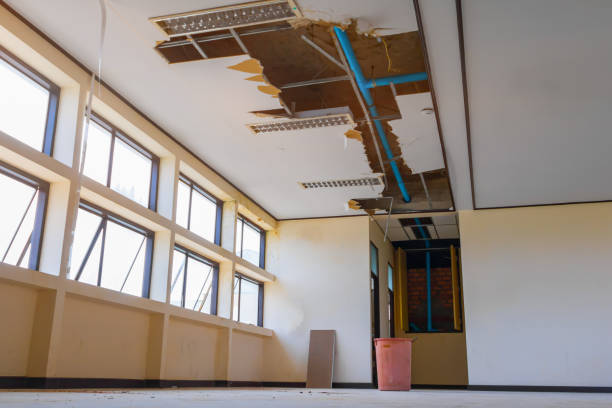 Best Ceiling water damage repair  in Lahoma City, OK