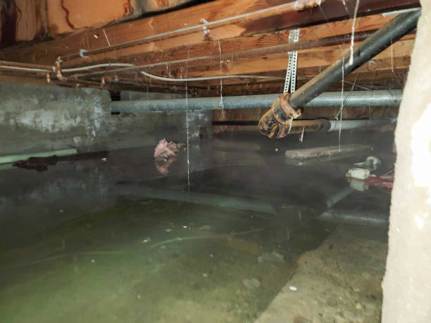 Best Flooded house restoration  in Lahoma City, OK