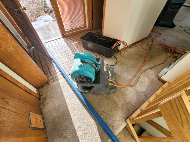 Best Sewage cleanup and water damage restoration  in Lahoma City, OK