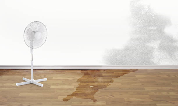 Best Flood damage cleanup  in Lahoma City, OK