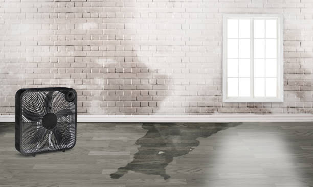 Best Fire Damage Restoration  in Lahoma City, OK