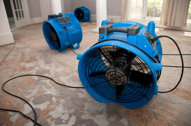 Best Water damage contractors near me  in Lahoma City, OK