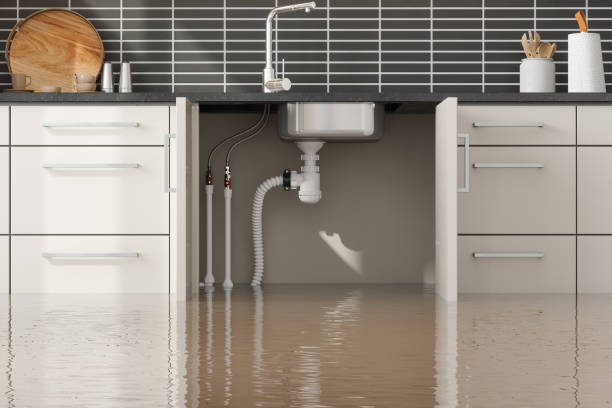 Best Flood restoration services  in Lahoma City, OK