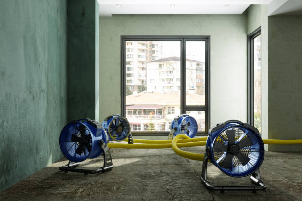 Best Local water damage restoration  in Lahoma City, OK