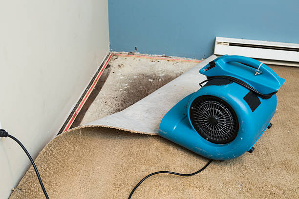 Best Carpet water damage restoration  in Lahoma City, OK